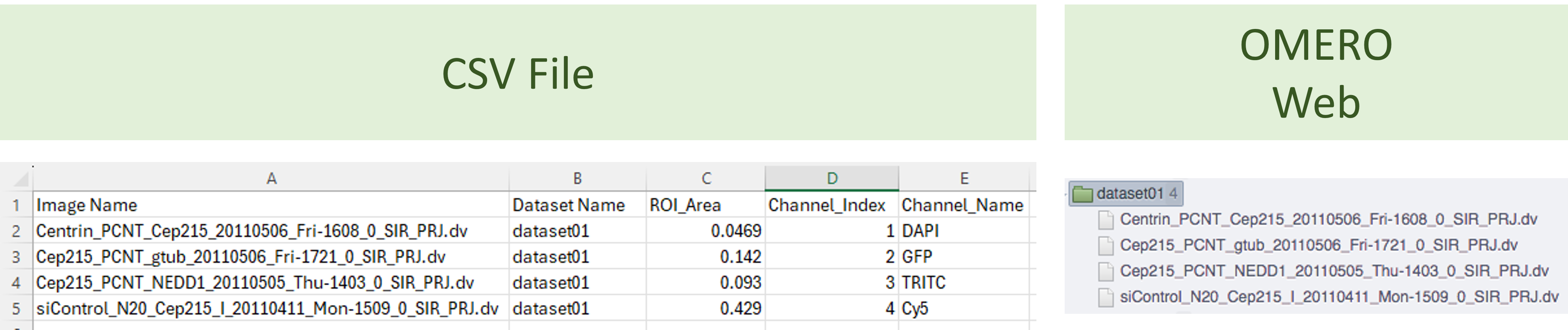 CSV