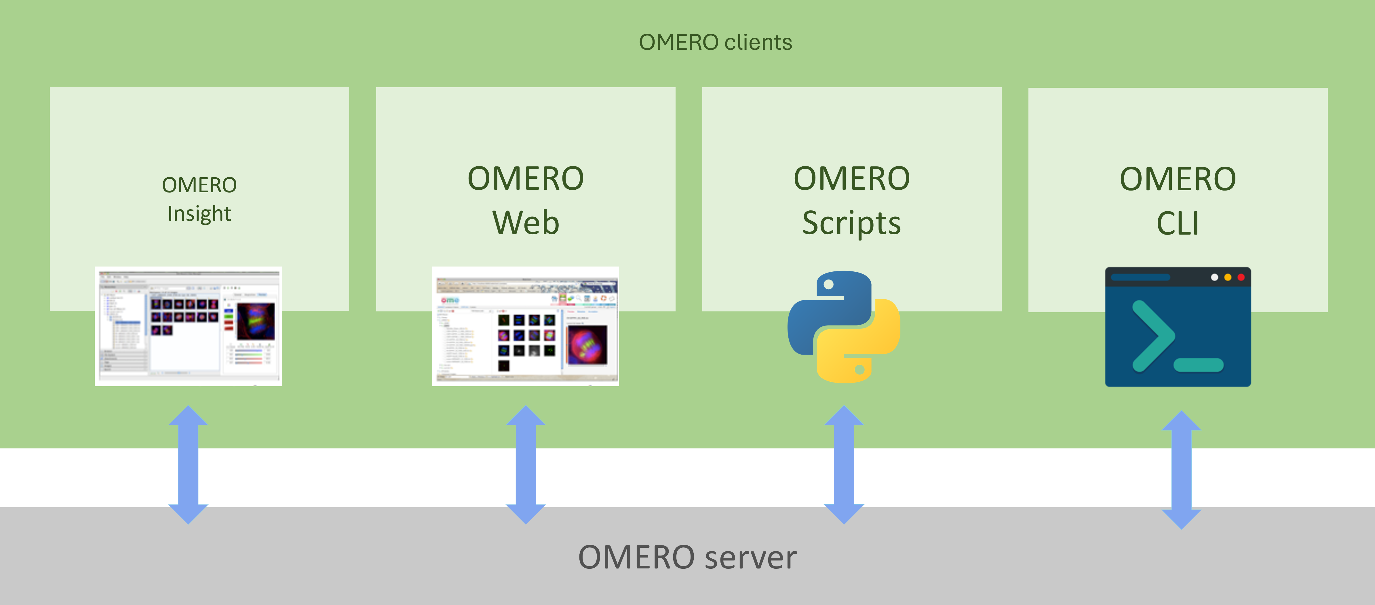 OMERO client/server