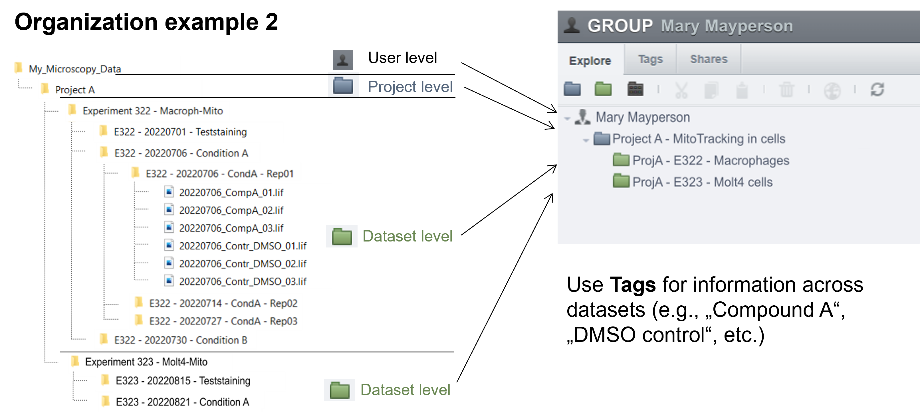 hierarchy example