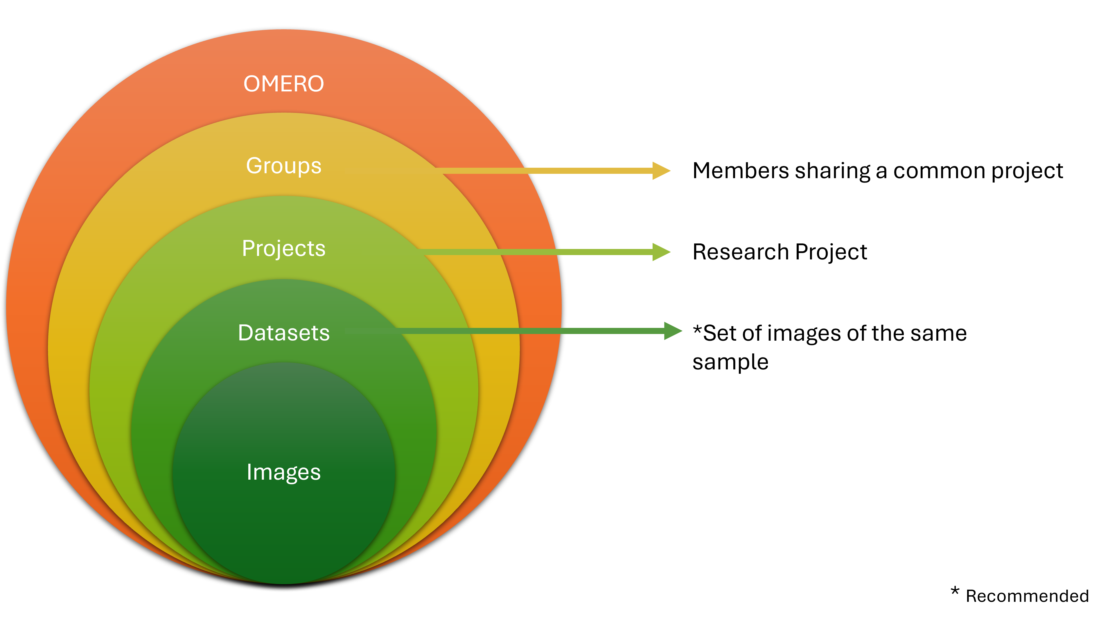 OMERO hierarchy